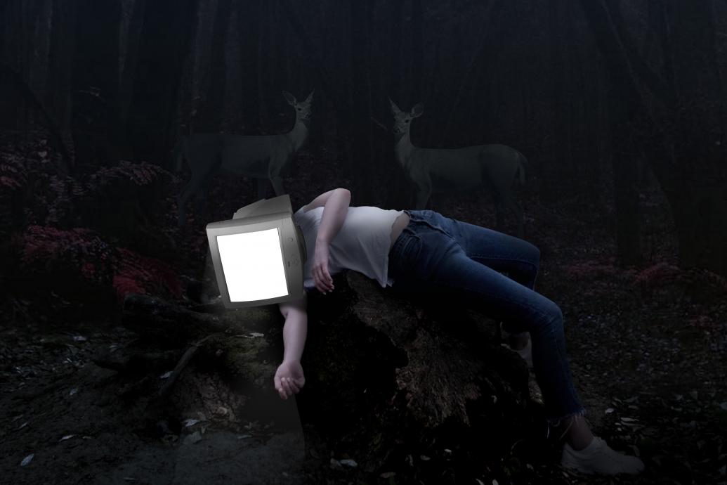 A person with a glowing computer monitor for a head lies on the ground of a dark wood with deer standing behind them